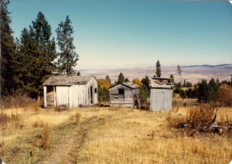 Abandoned Sheds in Field
