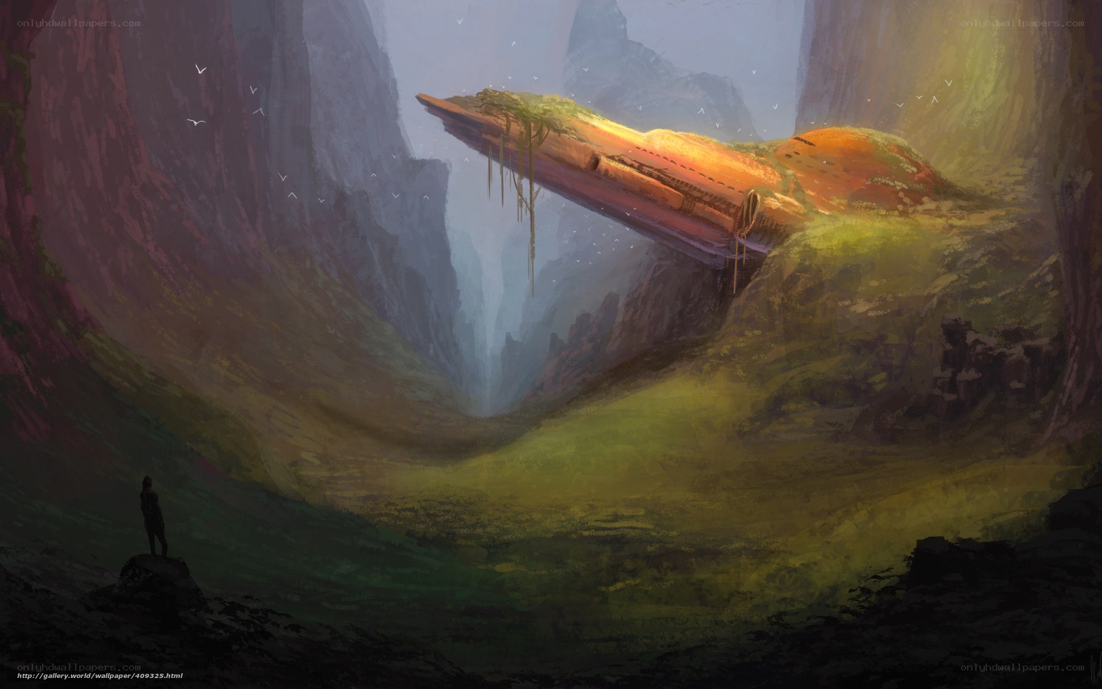 Abandoned ship in a canyon