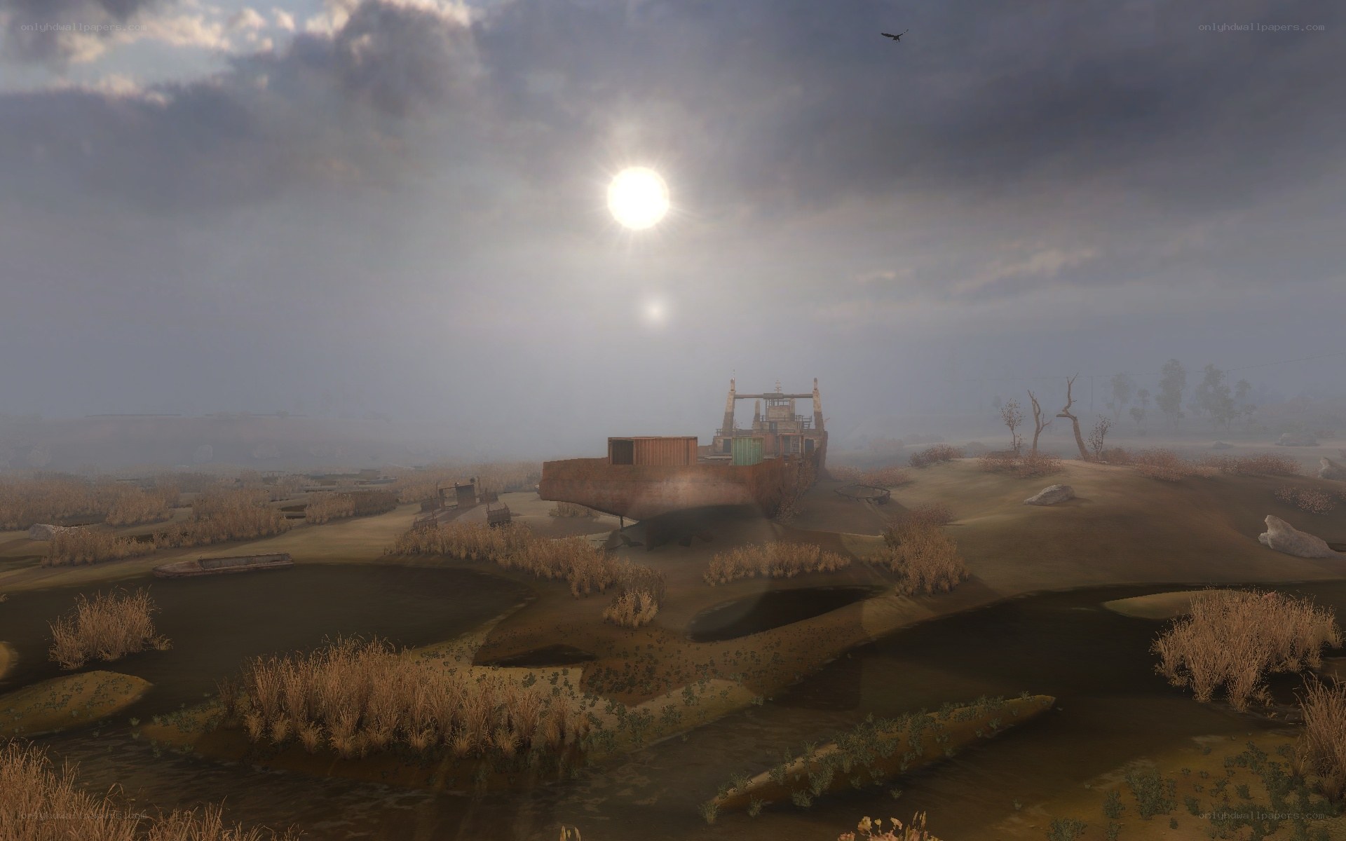 abandoned ship in foggy marsh