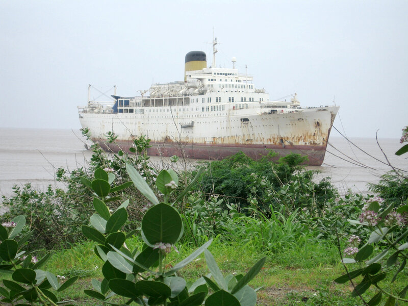 Abandoned ship in overgrown harbor