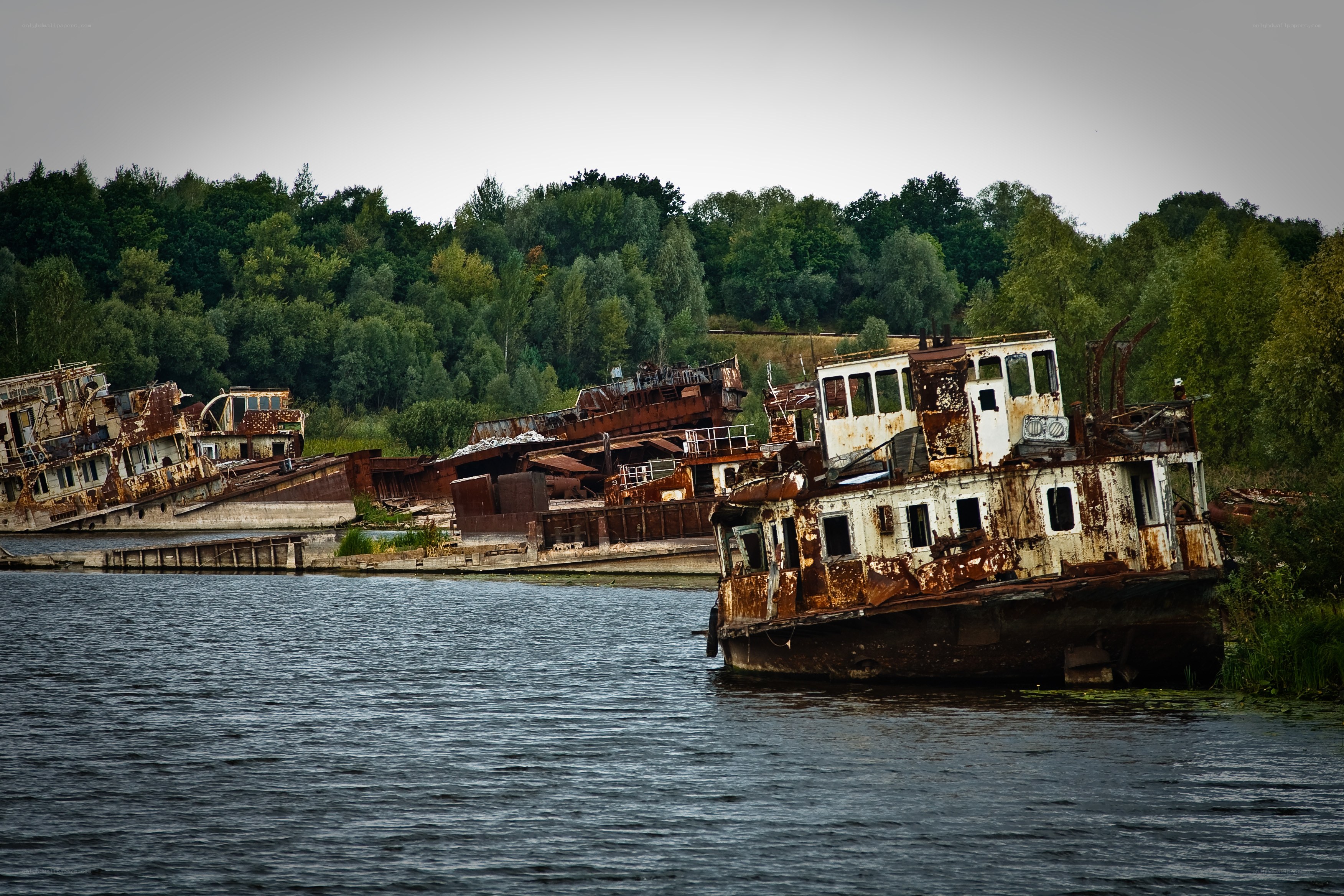 Abandoned ships on a river