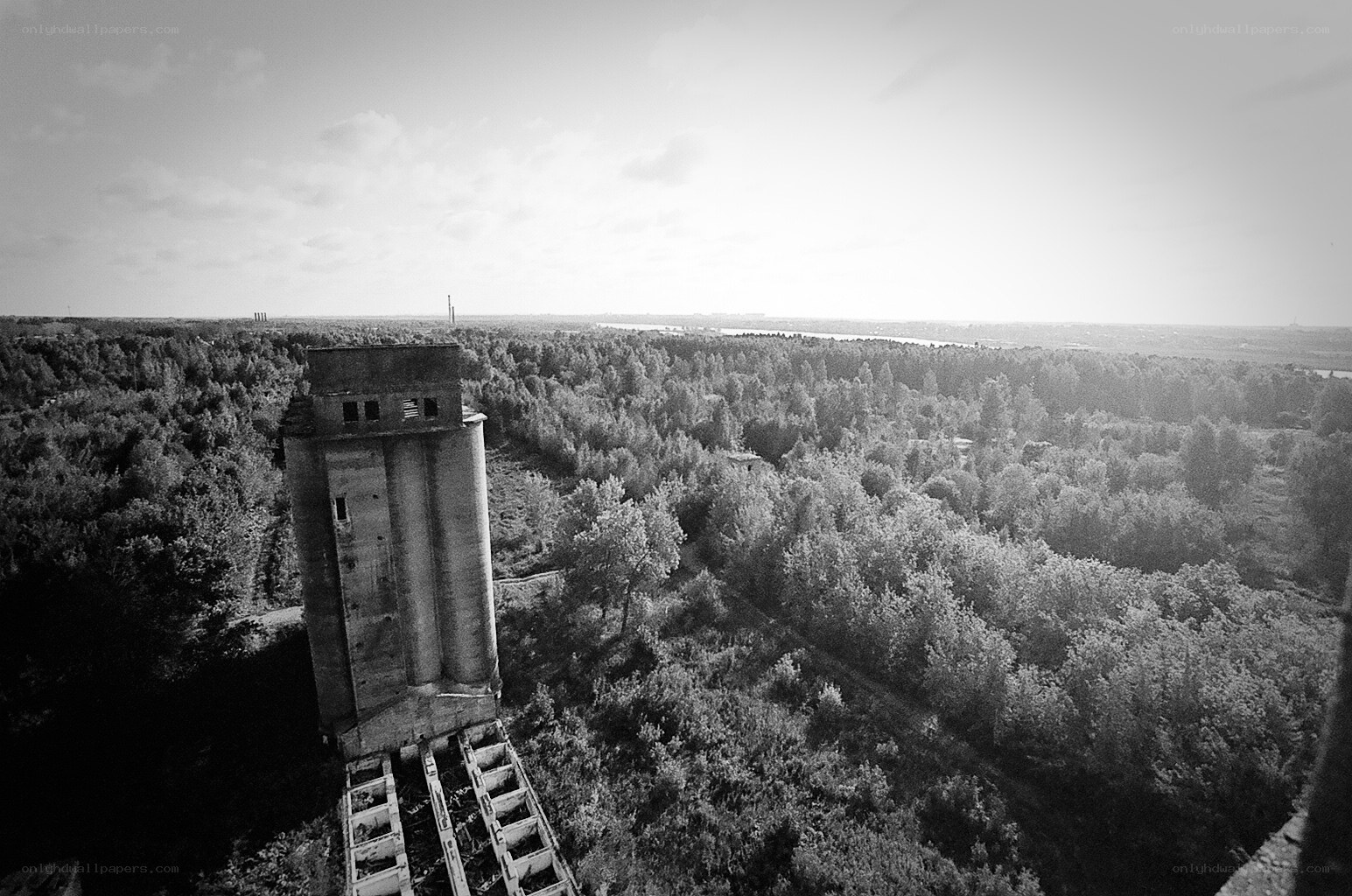 Abandoned silo in forest