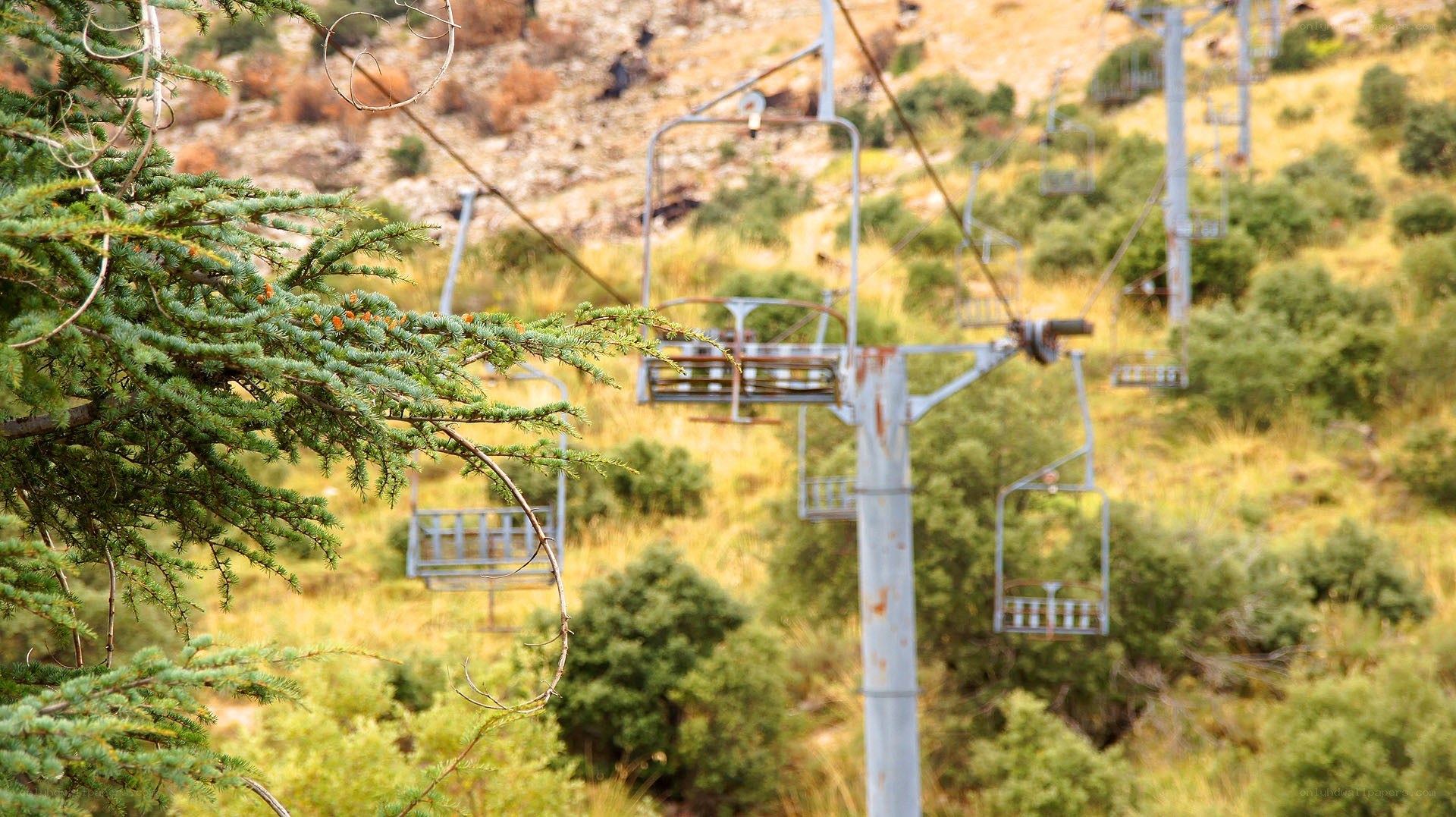 abandoned ski lift in forest