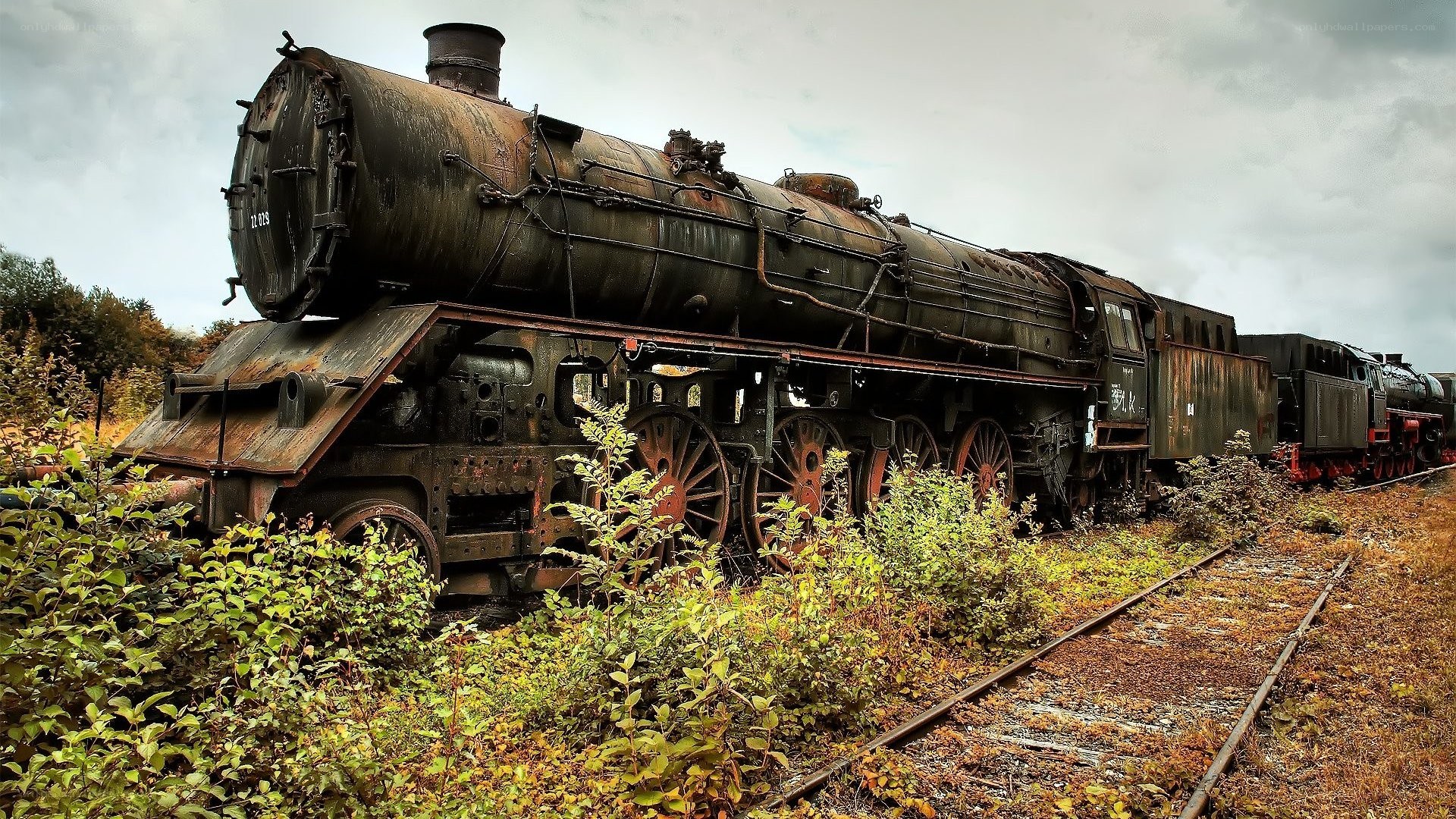 abandoned steam locomotive