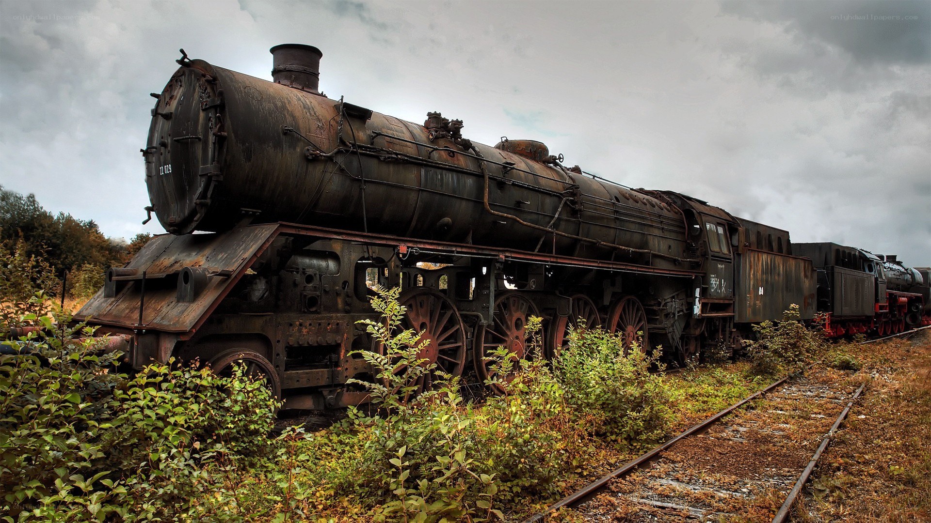 abandoned steam train in overgrown yard