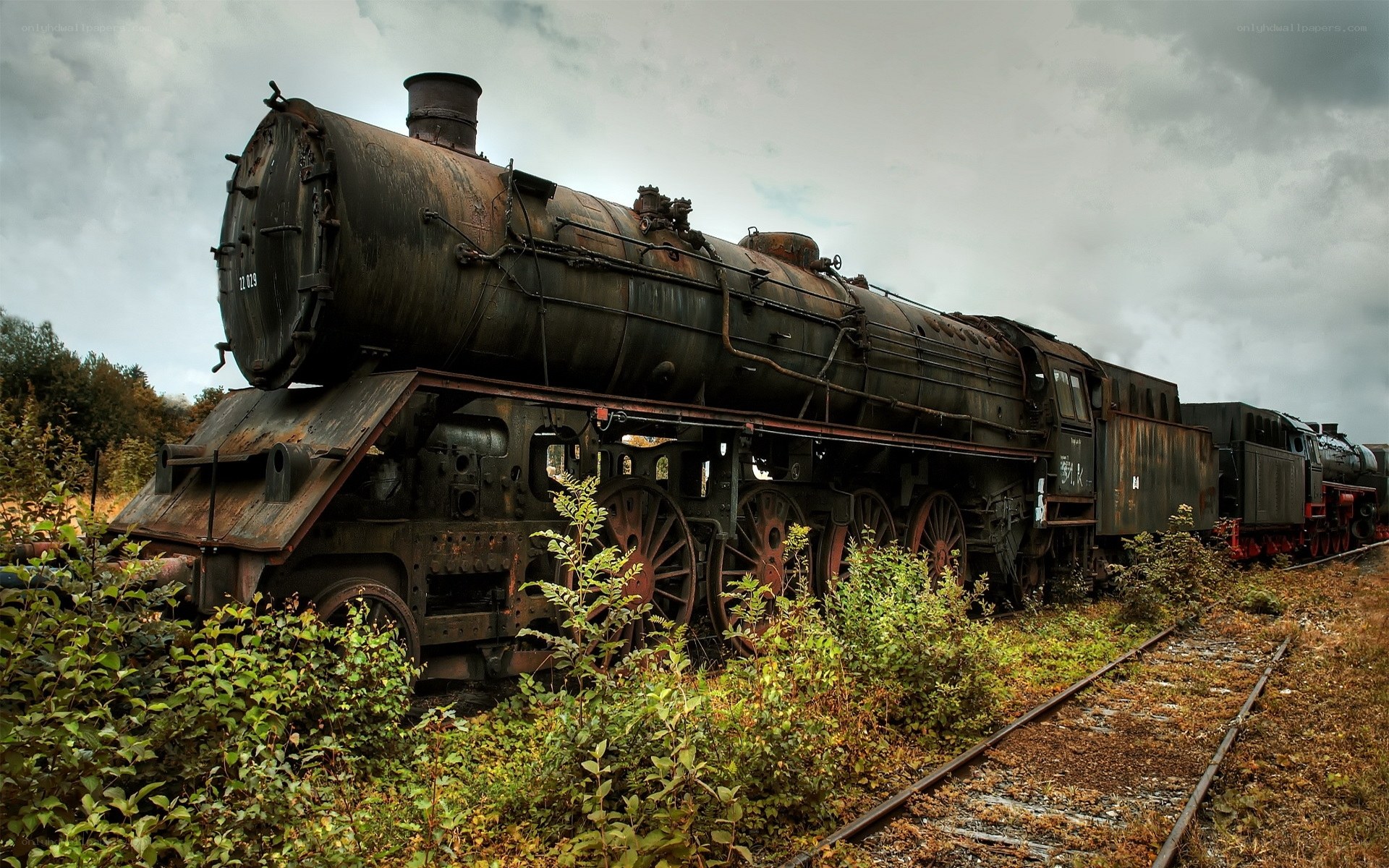 abandoned steam train in overgrown yard