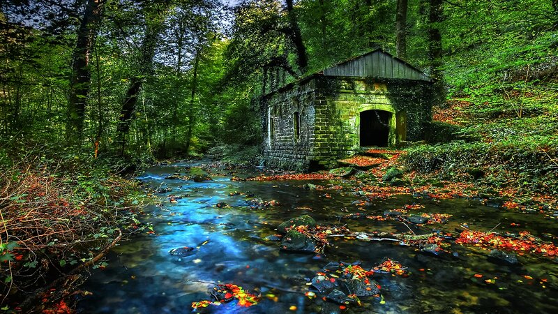 Abandoned Stone Building — Green