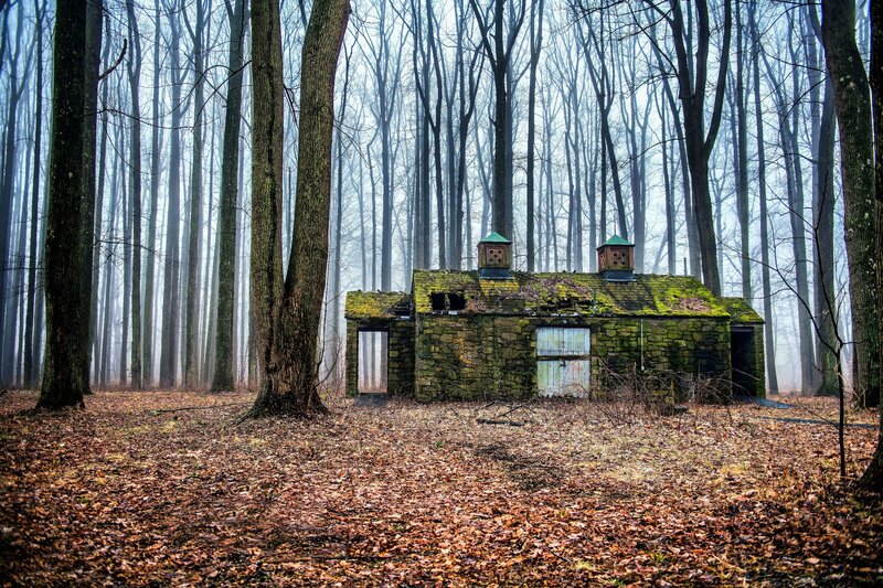 Abandoned Stone Cabin — Brown