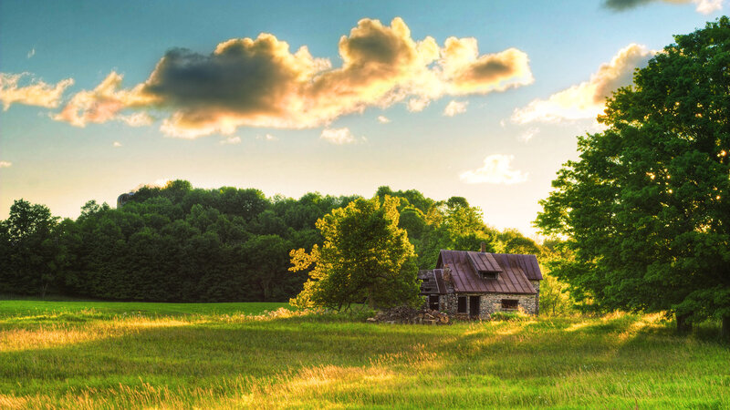 Abandoned Stone Cabin — Green, Serene