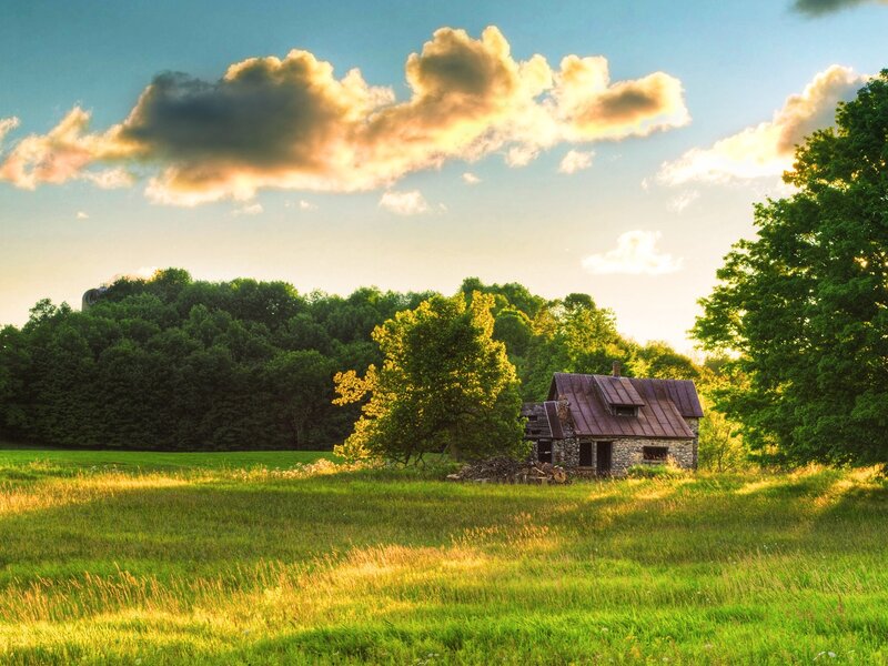 Abandoned Stone Cabin — Green