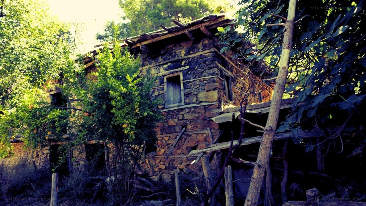 Abandoned stone house in forest