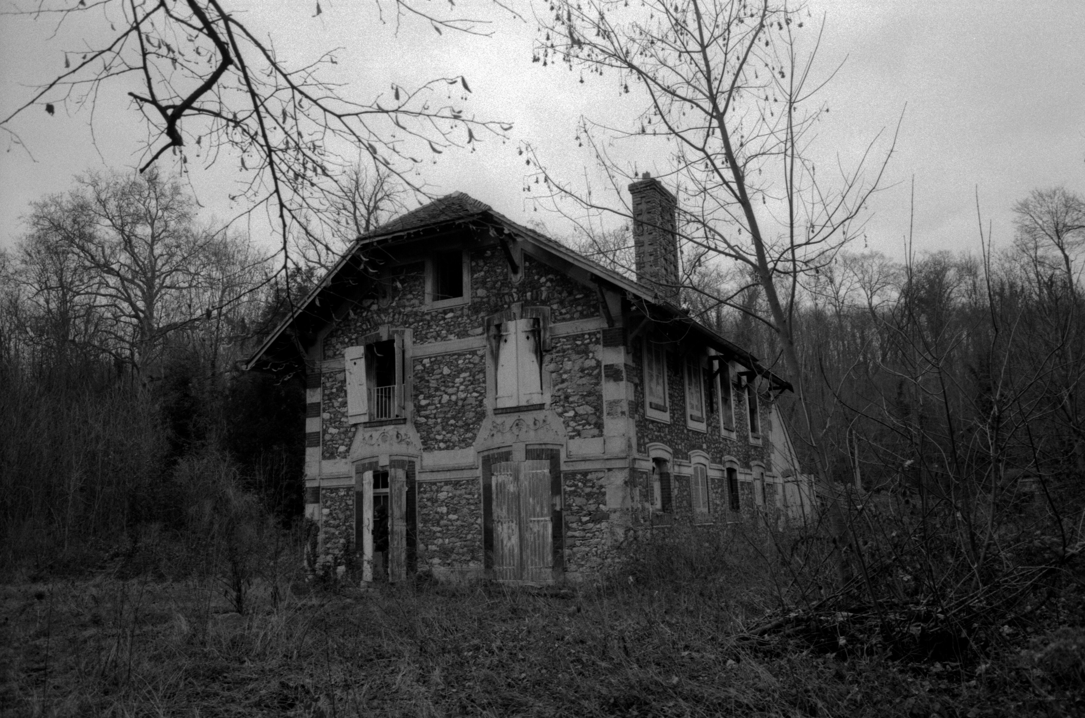 abandoned stone house in forest