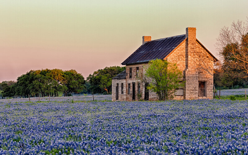 Abandoned Stone House — Purple