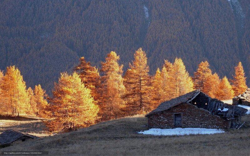 Abandoned Stone Hut — Orange, Serene