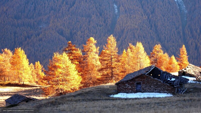Abandoned Stone Hut — Orange