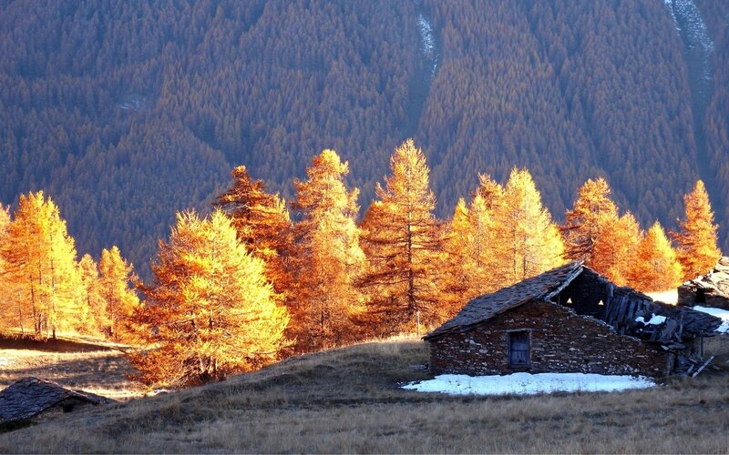 Abandoned Stone Hut