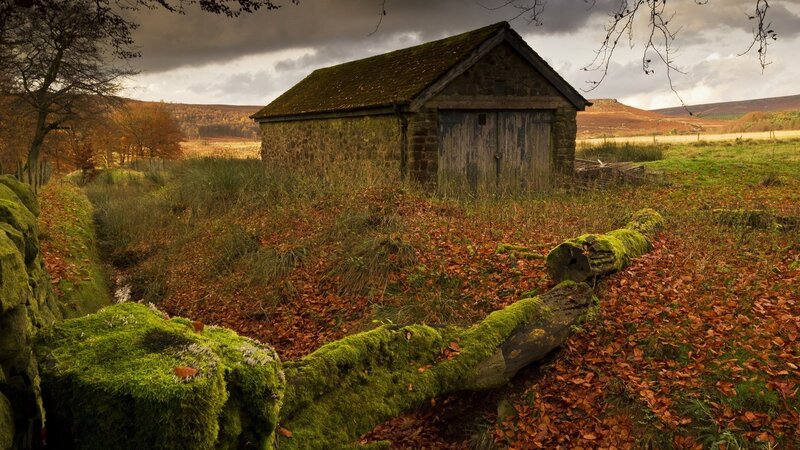 Abandoned Stone Shed