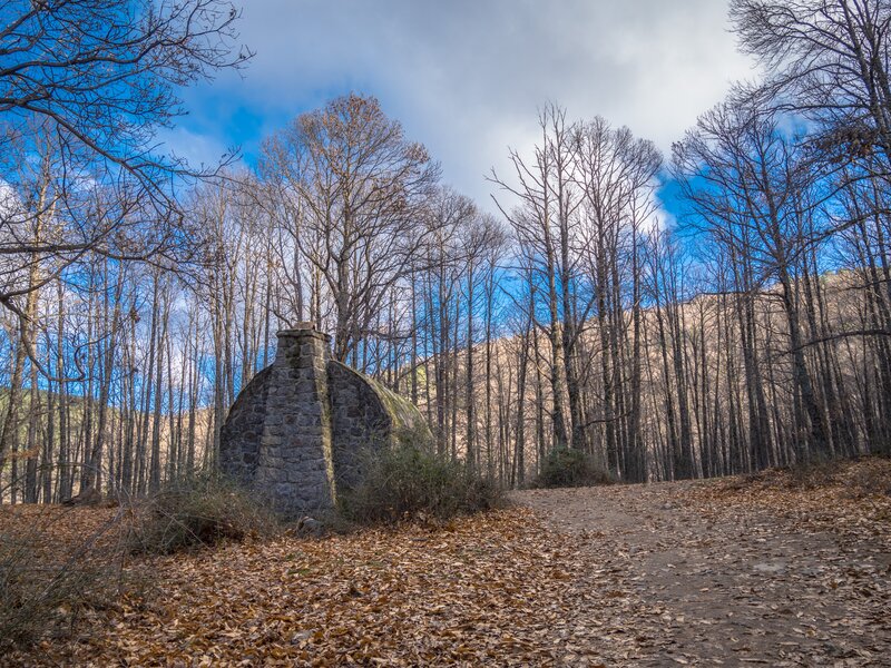 Abandoned stone structure in forest