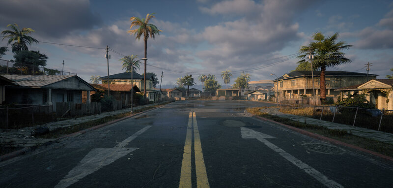 Abandoned Street with Palm Trees