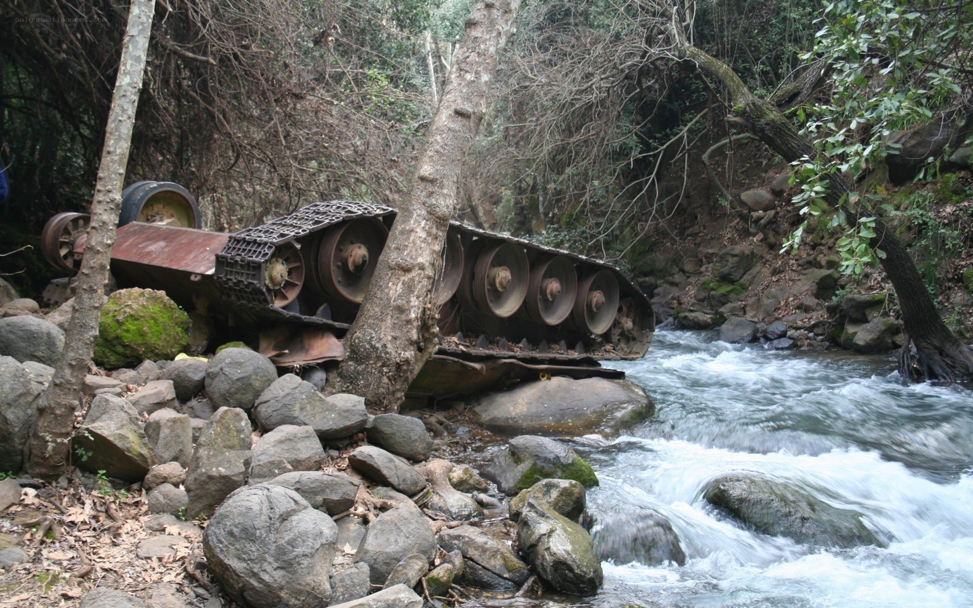 Abandoned tank in a forest stream