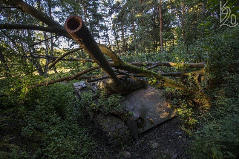 Abandoned Tank in Forest — Green, Overgrown