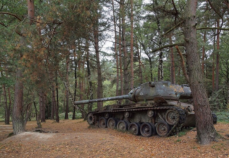 Abandoned Tank in Forest — Green, Somber, Autumn