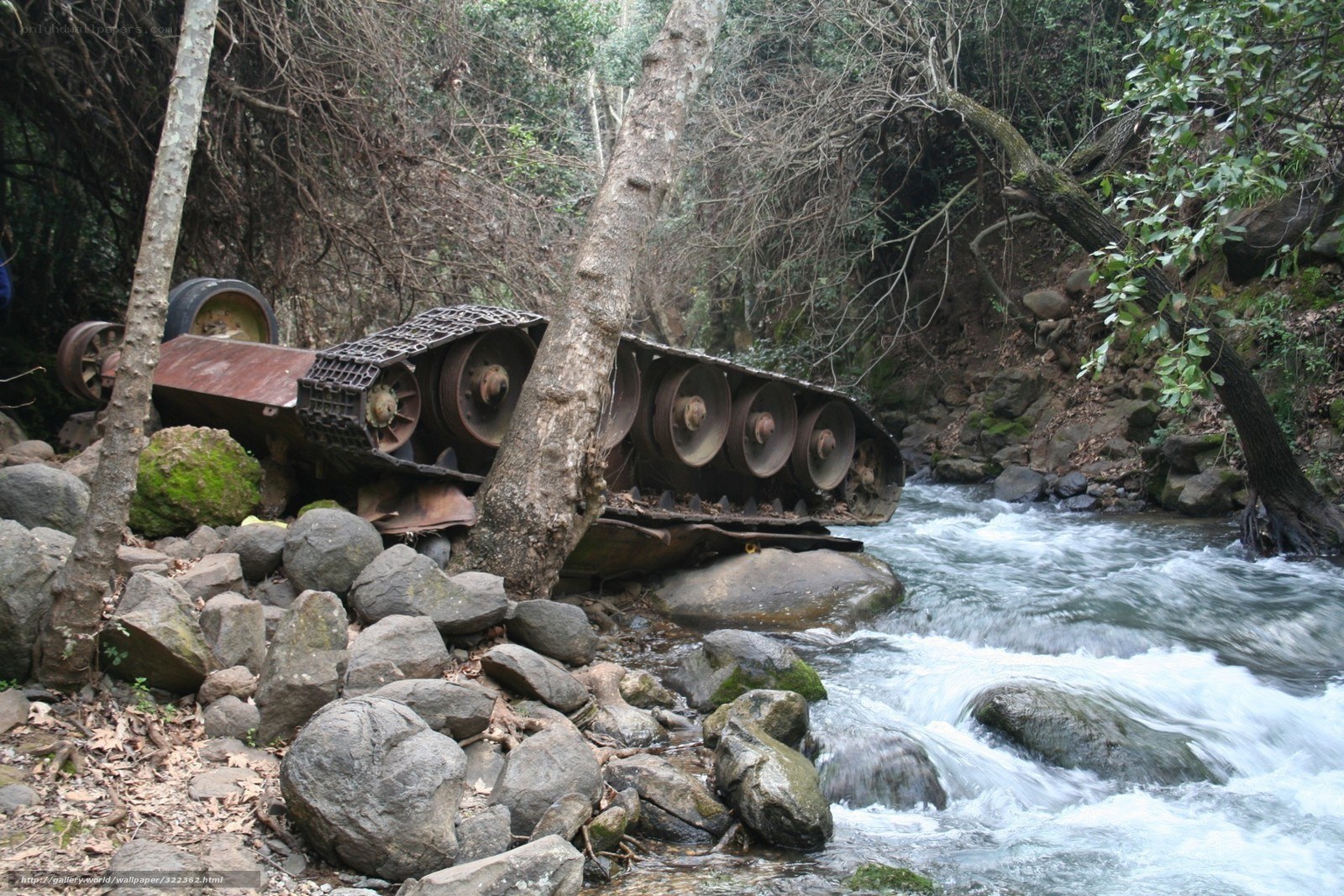 Abandoned tank in forest stream