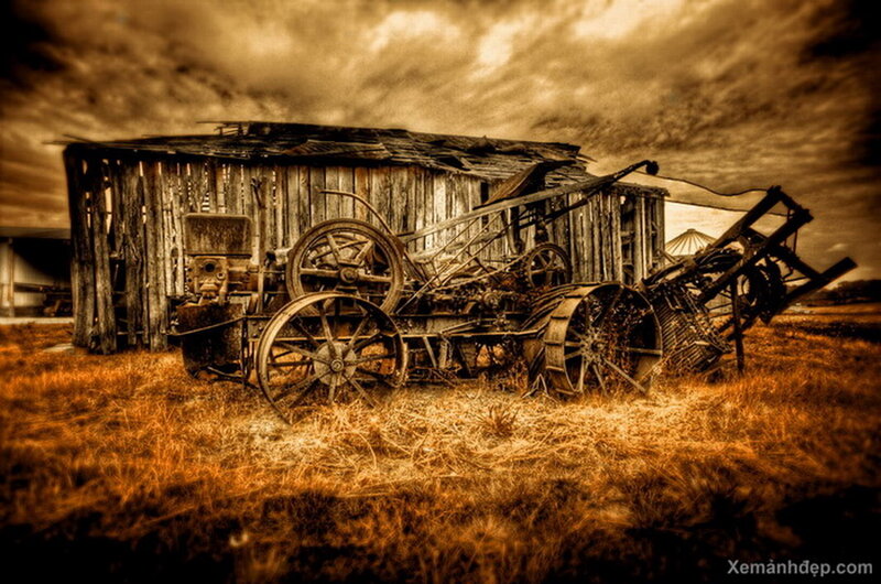Abandoned Tractor and Shed