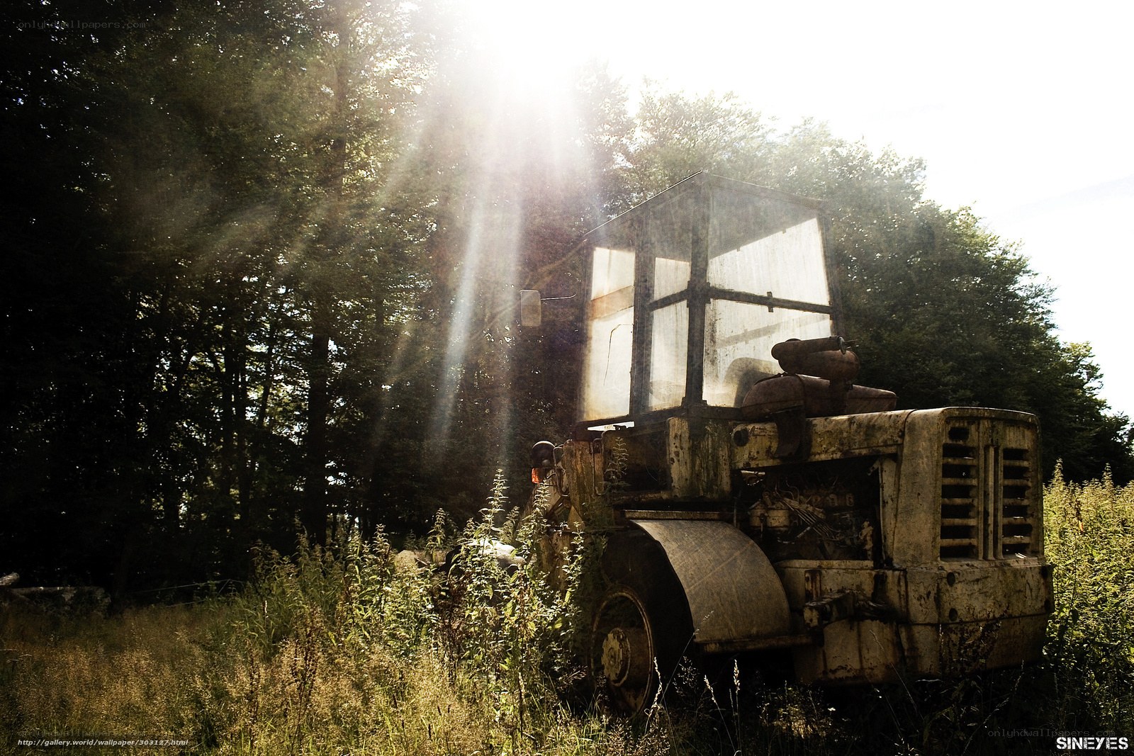 Abandoned tractor in forest