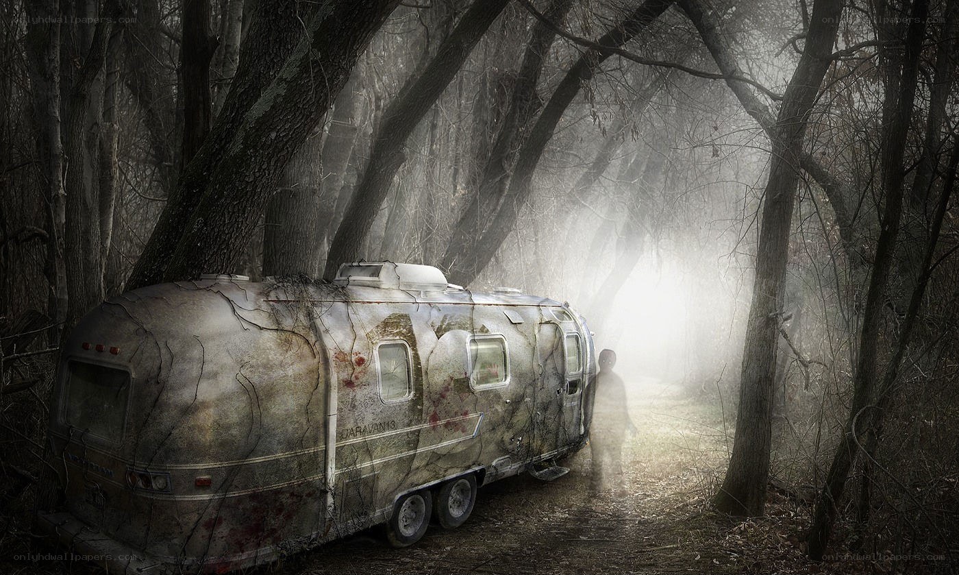 Abandoned trailer in misty forest