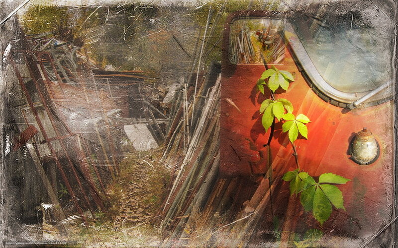 abandoned train and overgrown yard
