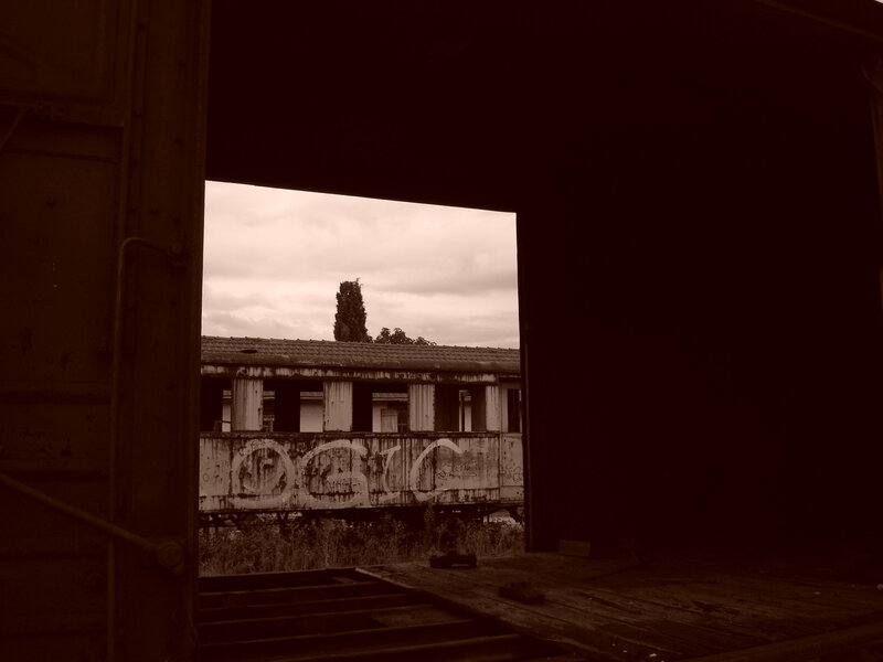 Abandoned Train Car — Brown