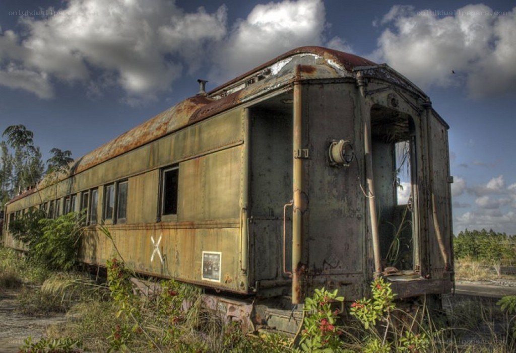 abandoned train car in overgrown field