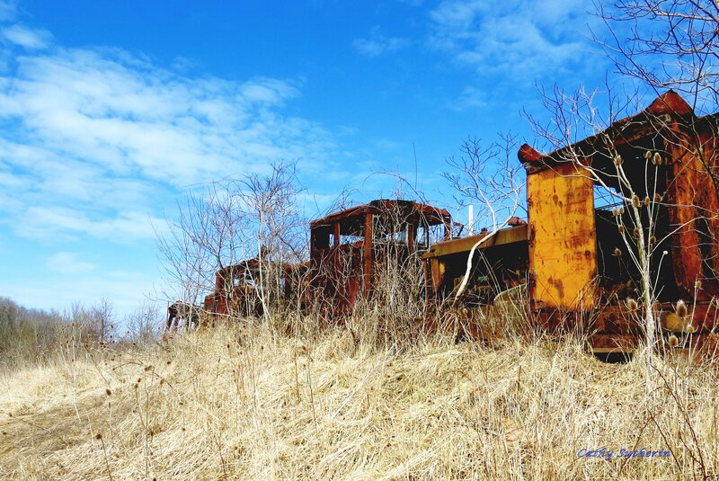Abandoned Train Cars — Blue