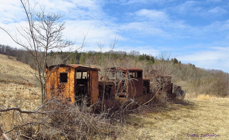 Abandoned Train Cars — Brown