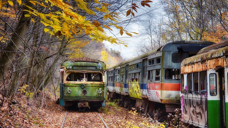 Abandoned Train Cars — Green, Decaying