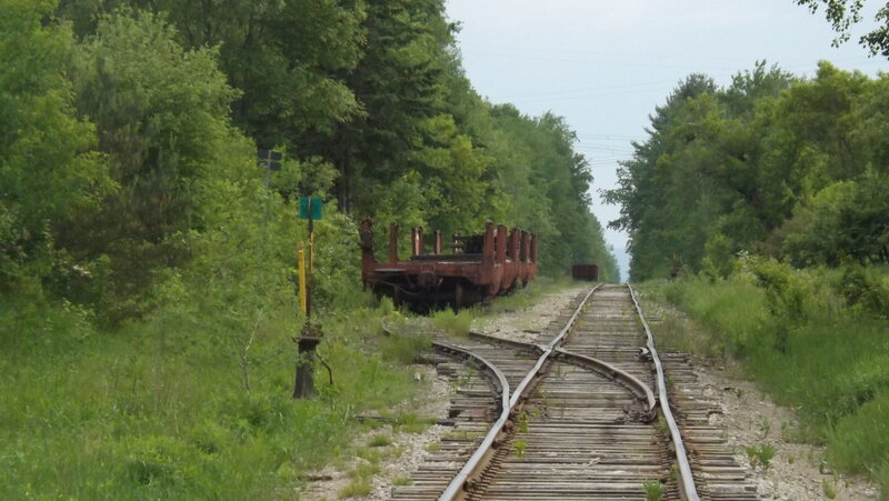 Abandoned Train Cars — Green, Overgrown