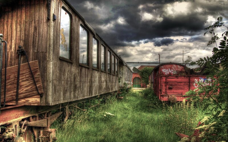 abandoned train cars in overgrown yard