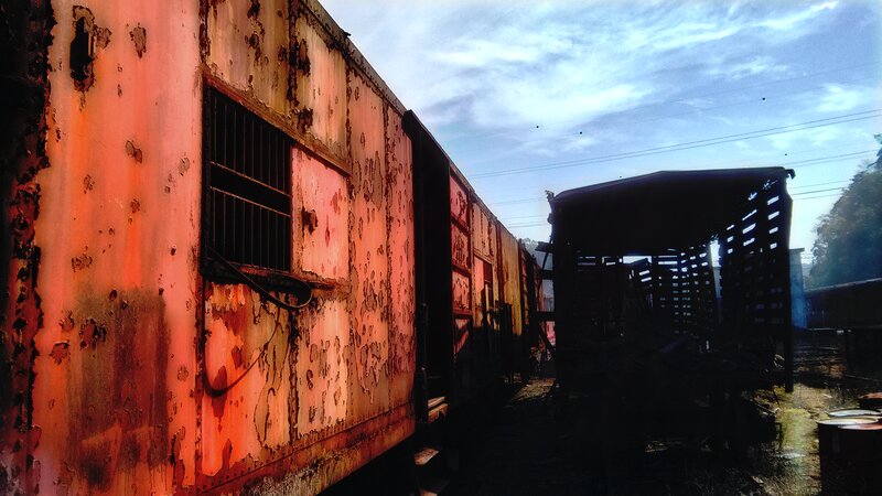 Abandoned Train Cars — Orange