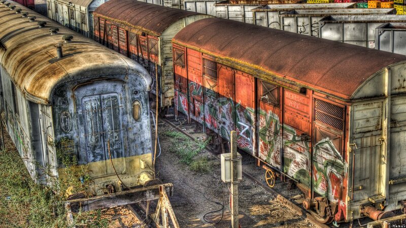 Abandoned Train Cars