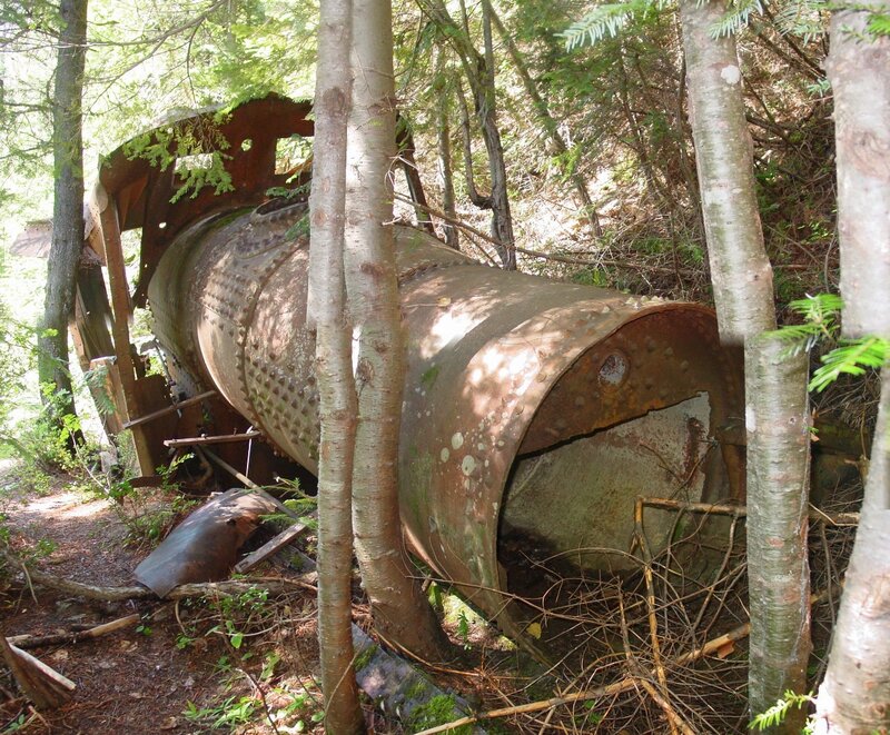 Abandoned train engine in forest