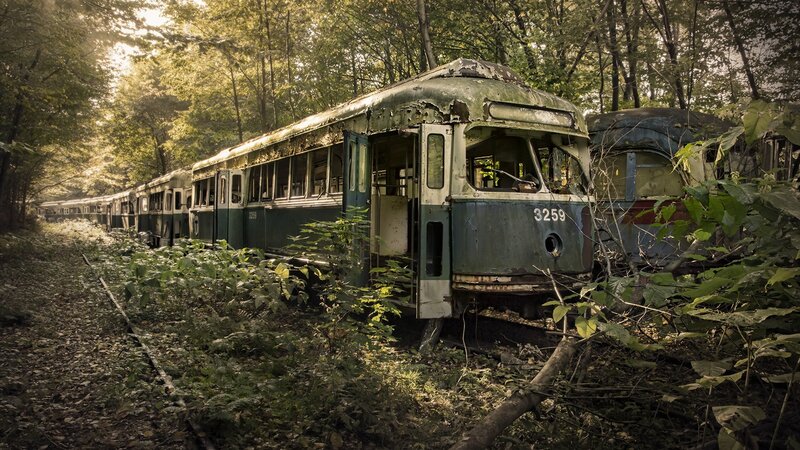 Abandoned Train in Forest