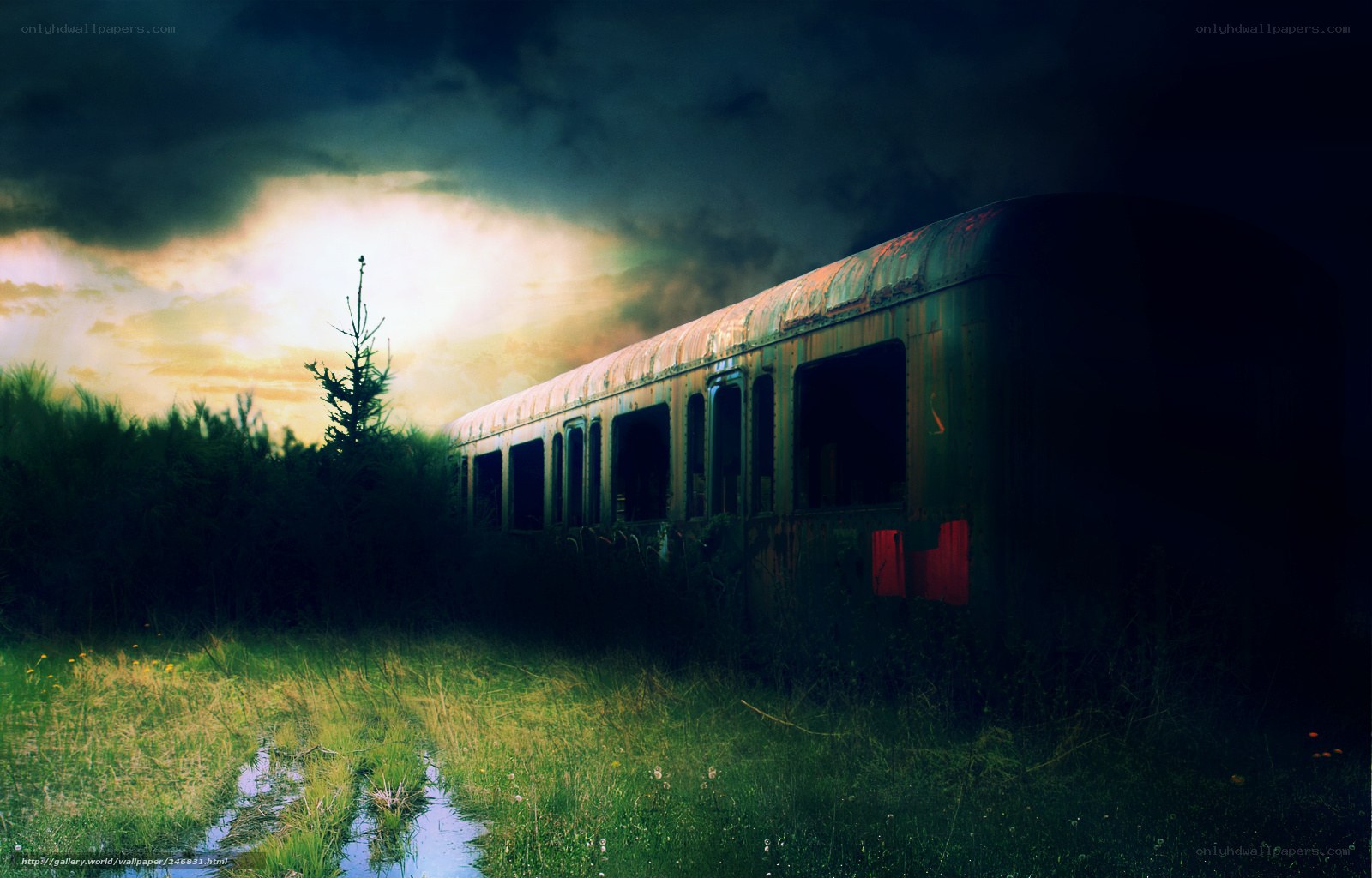abandoned train in overgrown field