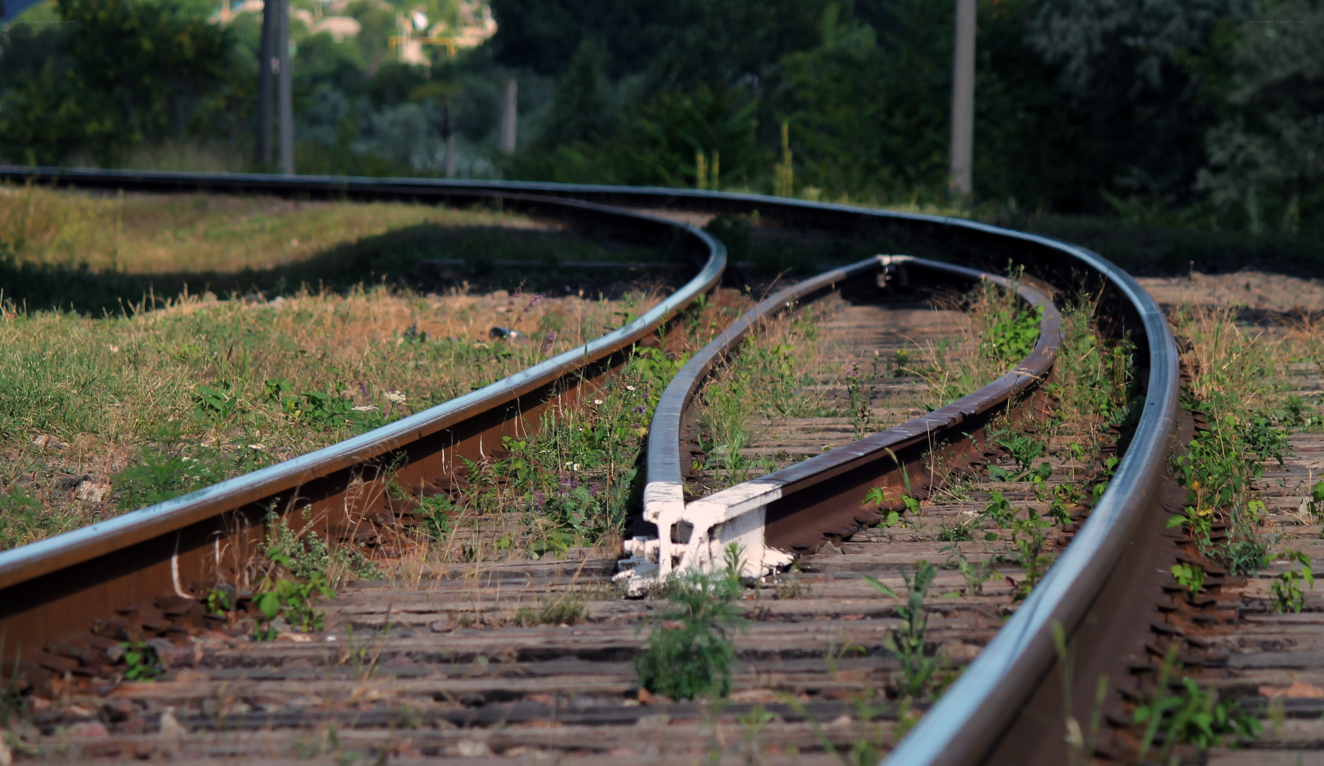 abandoned train tracks