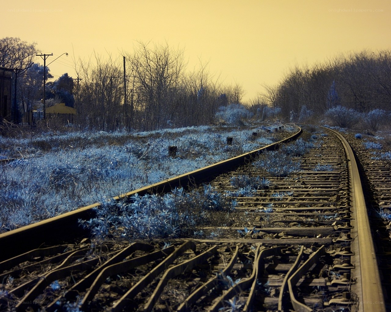 Abandoned train tracks at dusk