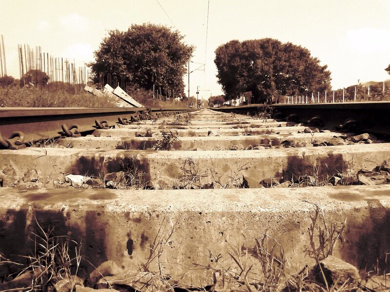 Abandoned Train Tracks — Brown, Desolate, Photograph