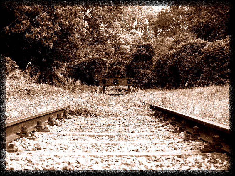 Abandoned Train Tracks — Brown, Secluded