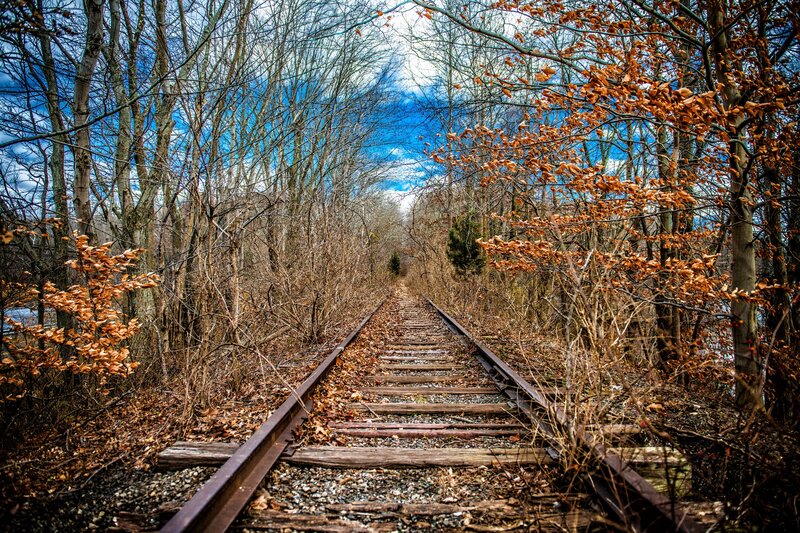 Abandoned Train Tracks — Brown, Serene, Autumn