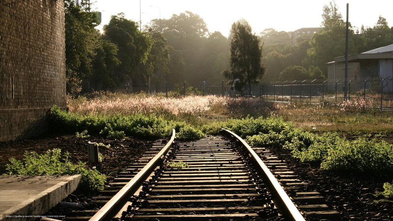 Abandoned Train Tracks — Brown, Serene, Sunrise