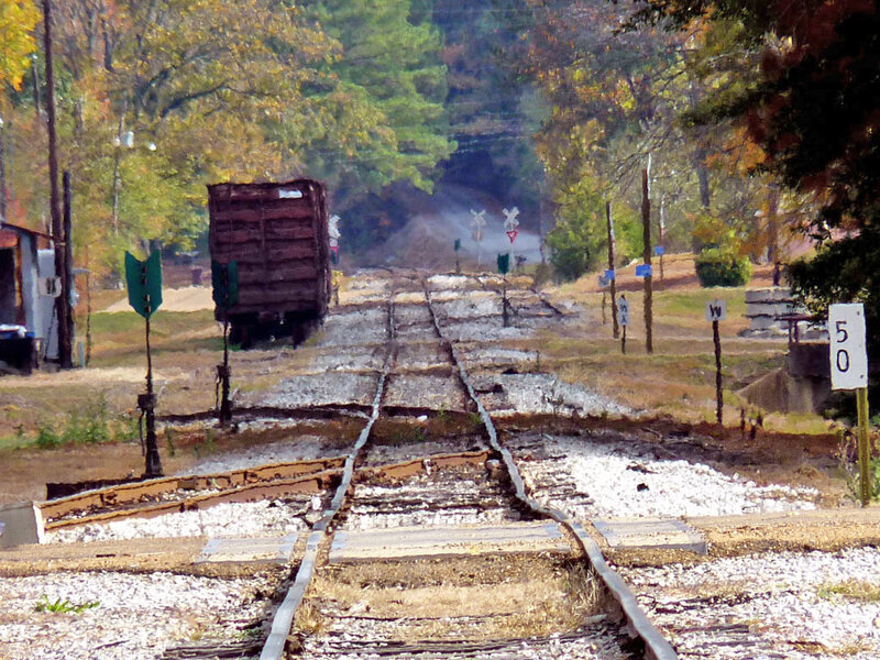 Abandoned Train Tracks — Brown